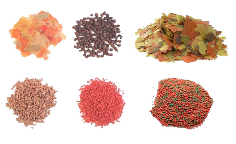 Tipos de Alimentos para Peixes