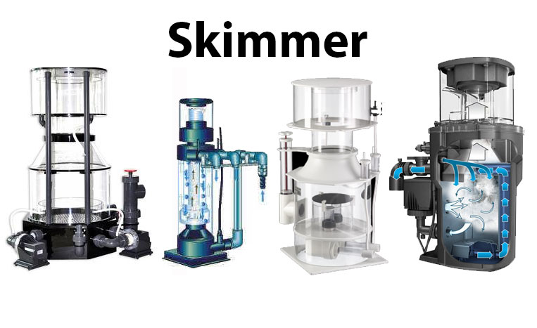 Skimmer: O guia completo para iniciantes no aquarismo