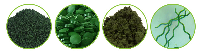 spirulina